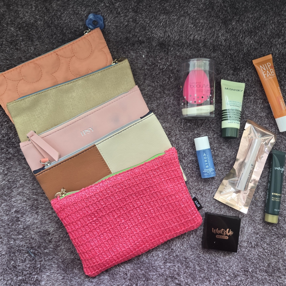 Ipsy Multi-Color Cosmetic Bag Set